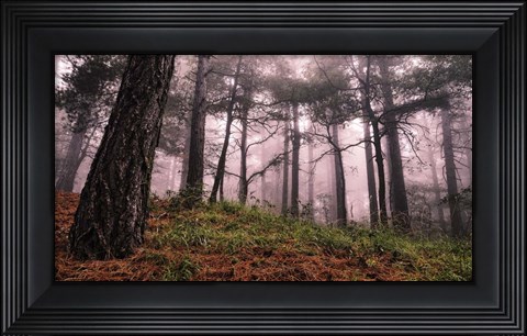 Framed Mountain Print