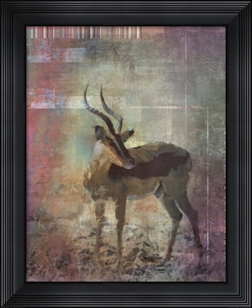 Framed Africa Antelope Print