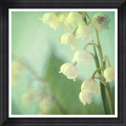 Framed Lily of the Valley Print