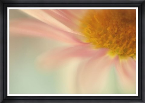 Framed Whisper Print