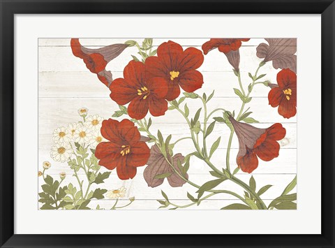 Framed Summer Salpiglossis Cottage Print