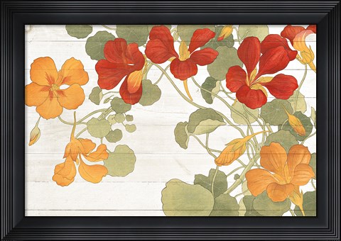 Framed Summer Nasturtiums Cottage Print
