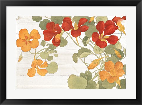 Framed Summer Nasturtiums Cottage Print