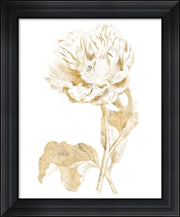 Framed Gilded Botanical VII Print