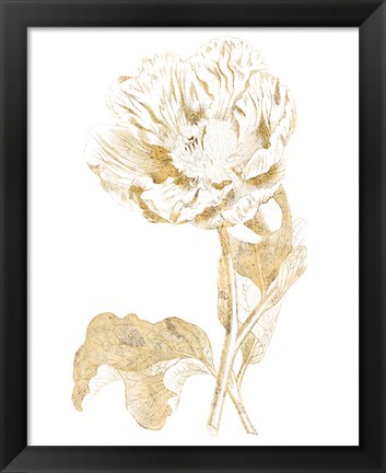 Framed Gilded Botanical VII Print