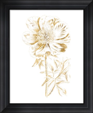 Framed Gilded Botanical VIII Print