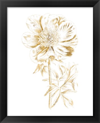 Framed Gilded Botanical VIII Print