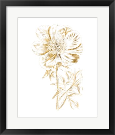 Framed Gilded Botanical VIII Print