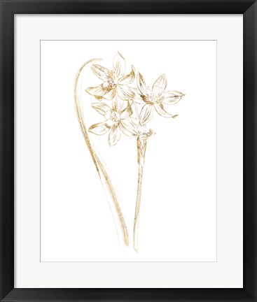 Framed Gilded Botanical IV Print