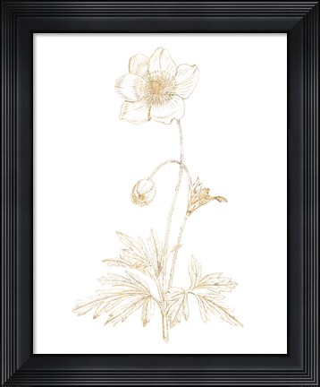 Framed Gilded Botanical II Print