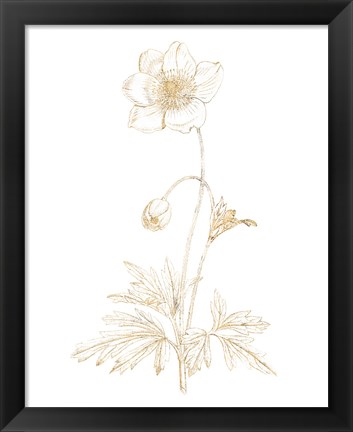 Framed Gilded Botanical II Print