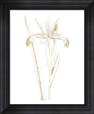 Framed Gilded Botanical III Print