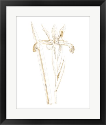 Framed Gilded Botanical III Print