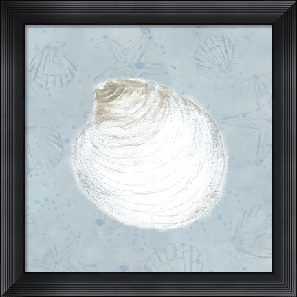 Framed Serene Shells IV Print