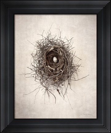 Framed Nest I Print