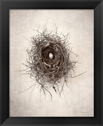 Framed Nest I Print