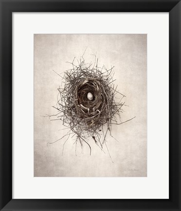 Framed Nest I Print