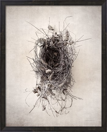 Framed Nest II Print