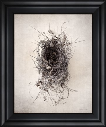 Framed Nest II Print