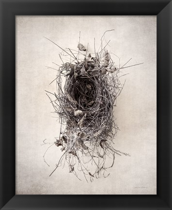 Framed Nest II Print