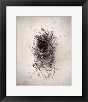 Framed Nest II Print