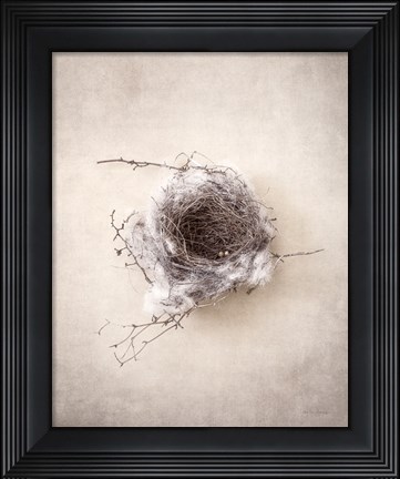 Framed Nest III Print