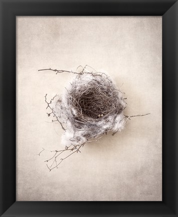 Framed Nest III Print