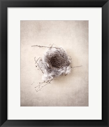 Framed Nest III Print