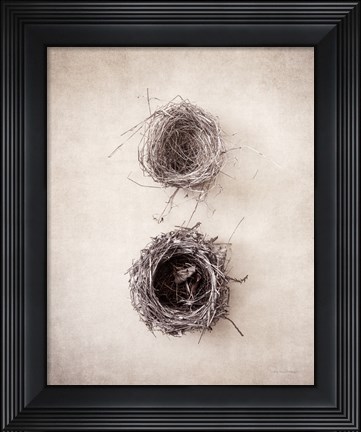 Framed Nest IV Print