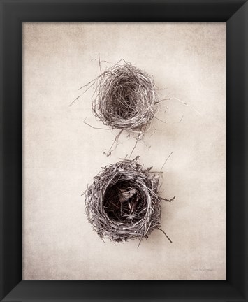 Framed Nest IV Print