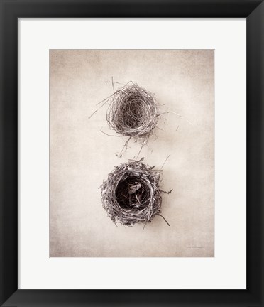 Framed Nest IV Print