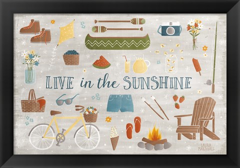 Framed Summer Sunshine III Print