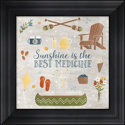 Framed Summer Sunshine II Print