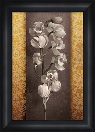 Framed Cymbidium Decor Print