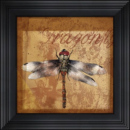 Framed Dragonfly I Print