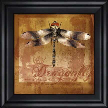 Framed Dragonfly II Print