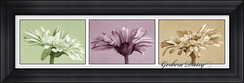 Framed Gerbera Balance Print