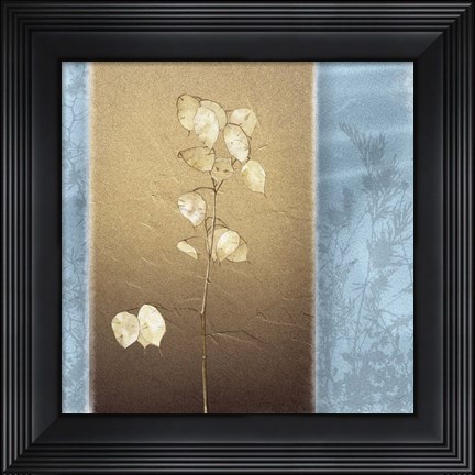 Framed Lunaria I Print