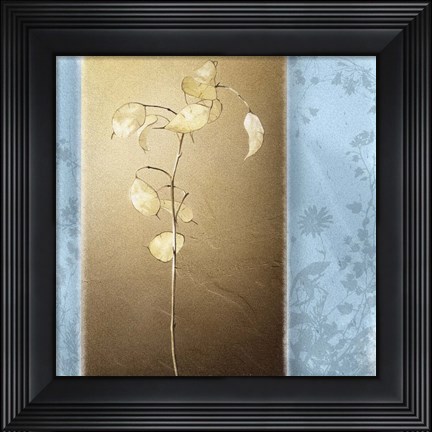 Framed Lunaria II Print