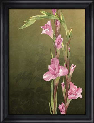 Framed Glad Sisters Print