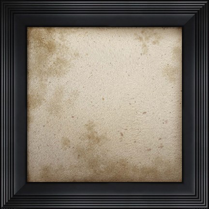 Framed Combshell II Print