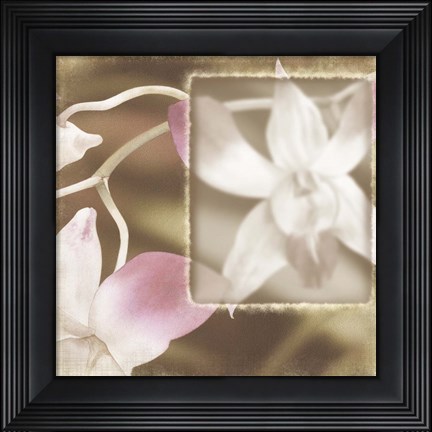 Framed Dendro I Print