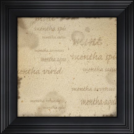 Framed Mint II Print