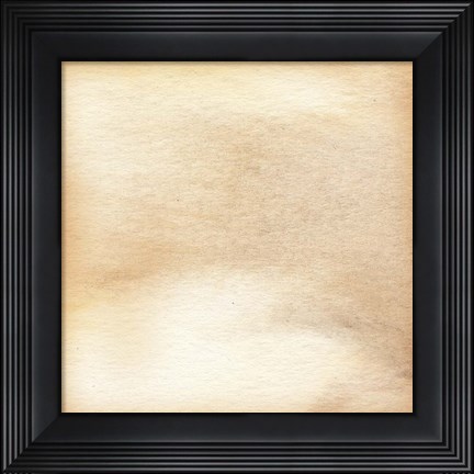 Framed Nautalis II Print