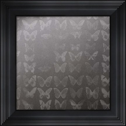 Framed Phalaenopsis II Print