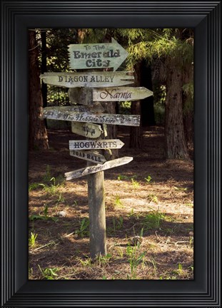 Framed Oh The Places You Will Go Print
