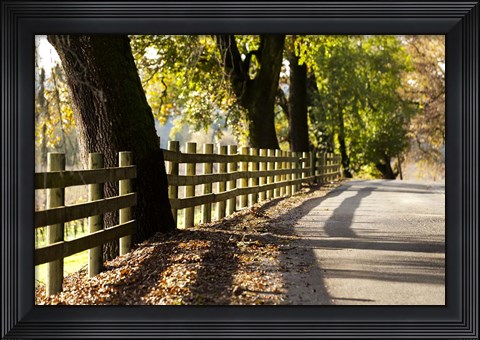 Framed Roadside Fence Print