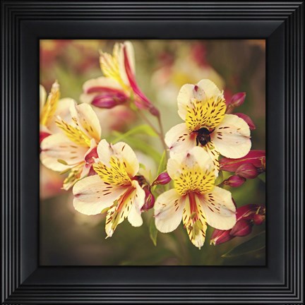 Framed Busy Bee Print