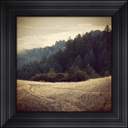 Framed Diverging Paths 2 Print
