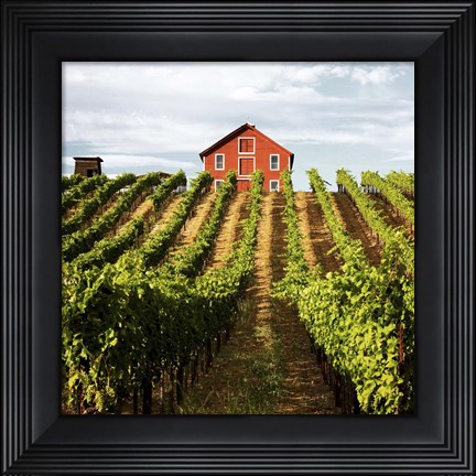 Framed Dry Creek Barn Print